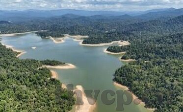 91麻豆精品国产自拍-探索网络平台的多样化表达——从91麻豆精品国产自拍现象谈起
