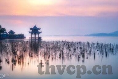 麻豆AV双飞专区-麻豆与AV双飞，欲望之境的迷思探索
