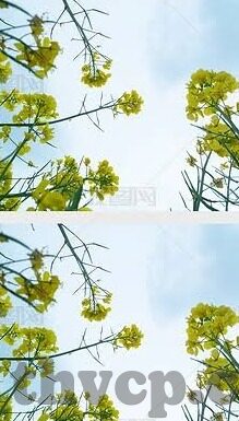 麻豆传媒app 1080p-探讨麻豆传媒1080p应用，高清影视资源之蛮荒探索