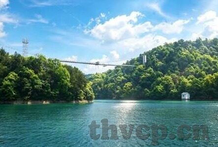日韩av在线点播-日韩AV在线点播，成人娱乐的灰色地带与法律边界