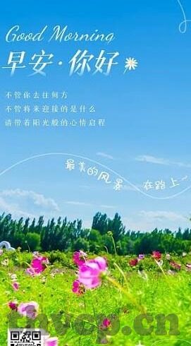 丝瓜视频成人app下载安装-丝瓜视频，解锁生活新视角的趣味探索