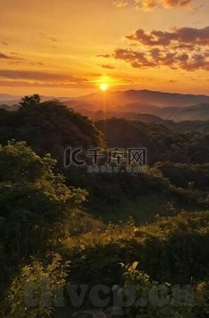 糖心app官网免费下载-糖心app的官方免费下载，解锁体验的新篇章