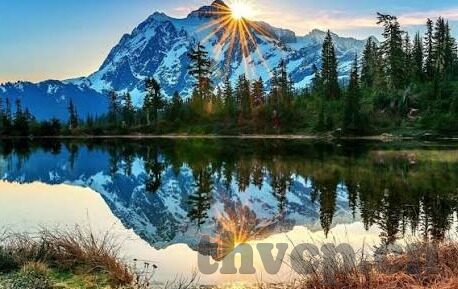 www.麻豆av.com.-揭露互联网色情陷阱，深入探讨www.麻豆av.com的危害