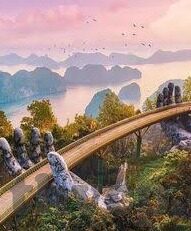 在线观看中文字幕dvd播放-解锁观影新体验，在线观看中文字幕DVD播放的魅力与趋势